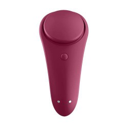 Sexy Secret Panty Vibrator App Controlled